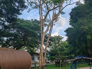 For sale land in Hang Dong, Chiang Mai
