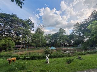 For sale land in Hang Dong, Chiang Mai