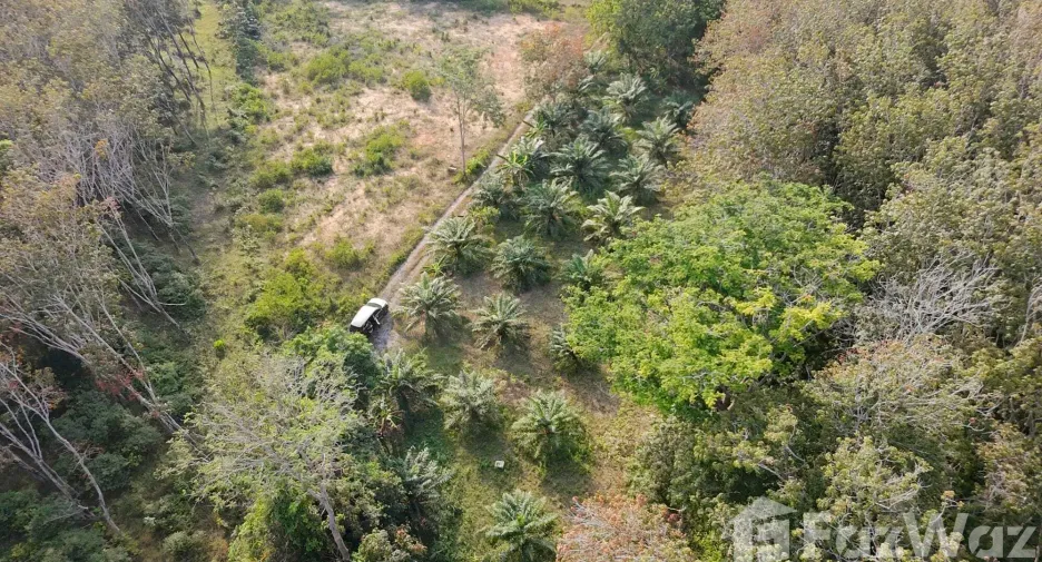 出售 土地 在 塔朗, 普吉