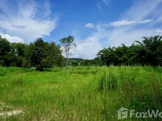 Terreno en venta en Mae Rim, Chiang Mai