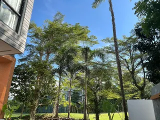 Haus zum Kauf und zur Miete mit 4 Zimmer in Kathu, Phuket