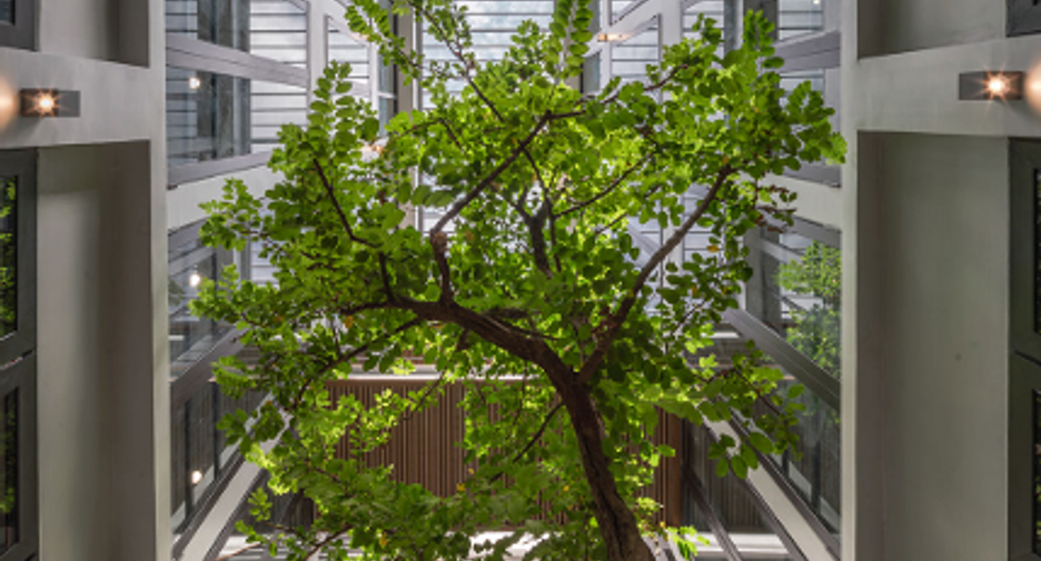 For sale and for rent office in Phra Khanong, Bangkok