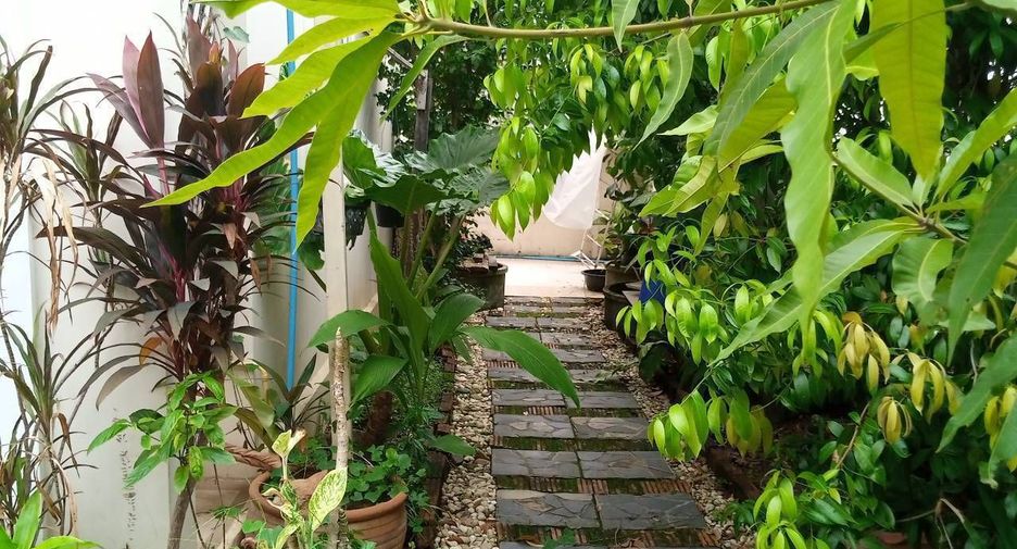 For sale 3 bedrooms house in Doi Saket, Chiang Mai