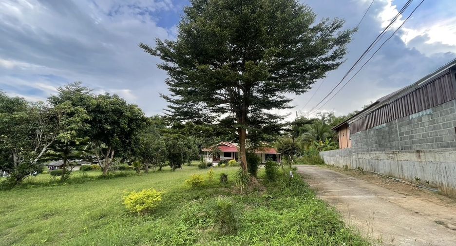 For sale 4 bedrooms house in Pai, Mae Hong Son