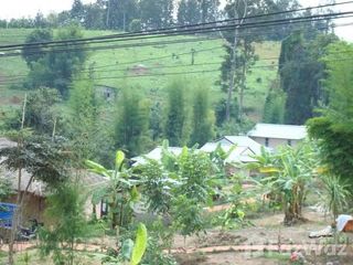 For sale 4 ベッドルーム house in Pai, Mae Hong Son