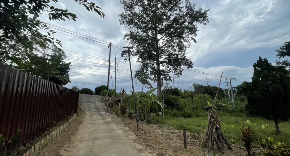For sale 4 bedrooms house in Pai, Mae Hong Son