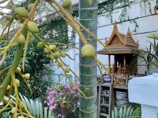 出售 3 卧室 独立屋 在 Bang Kapi, 曼谷