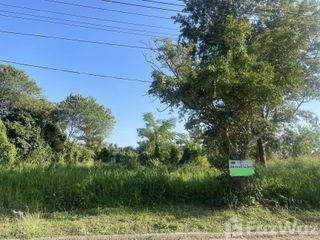 出售 土地 在 Mae Rim, Chiang Mai