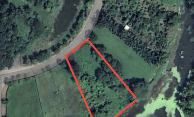 For sale land in Mae Rim, Chiang Mai