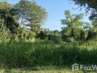 出售 土地 在 Mae Rim, Chiang Mai