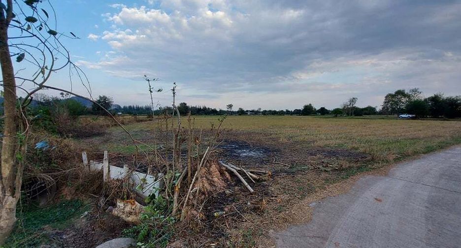 For sale land in Pak Tho, Ratchaburi