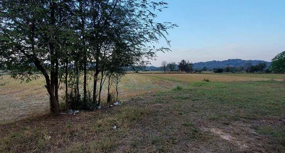 For sale land in Pak Tho, Ratchaburi