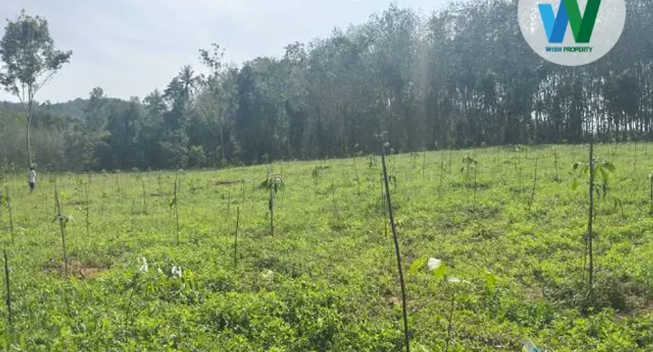 For sale land in Ranot, Songkhla