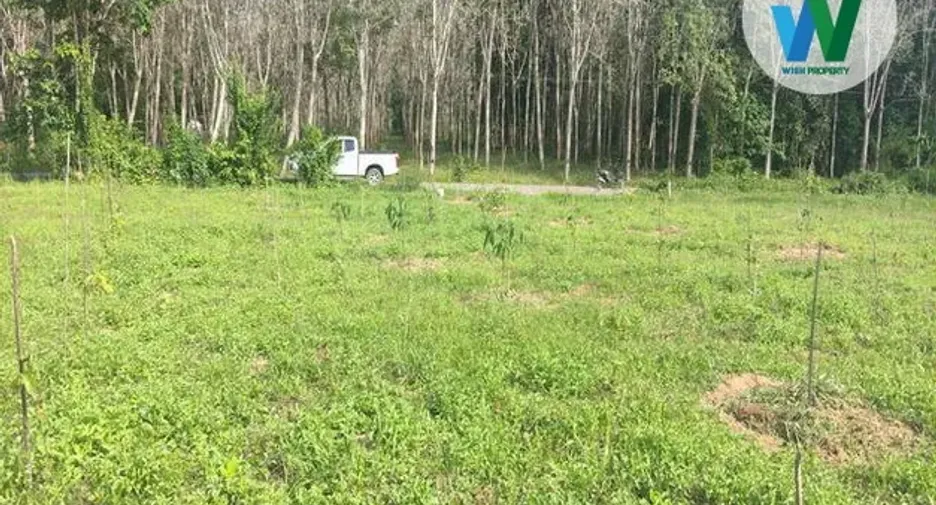For sale land in Ranot, Songkhla