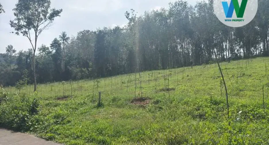 For sale land in Ranot, Songkhla