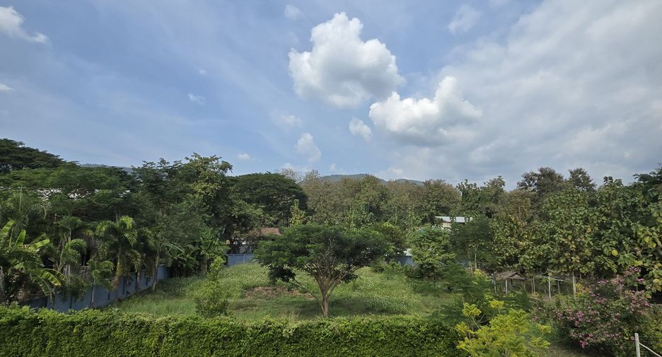 For sale 4 bedrooms house in San Kamphaeng, Chiang Mai