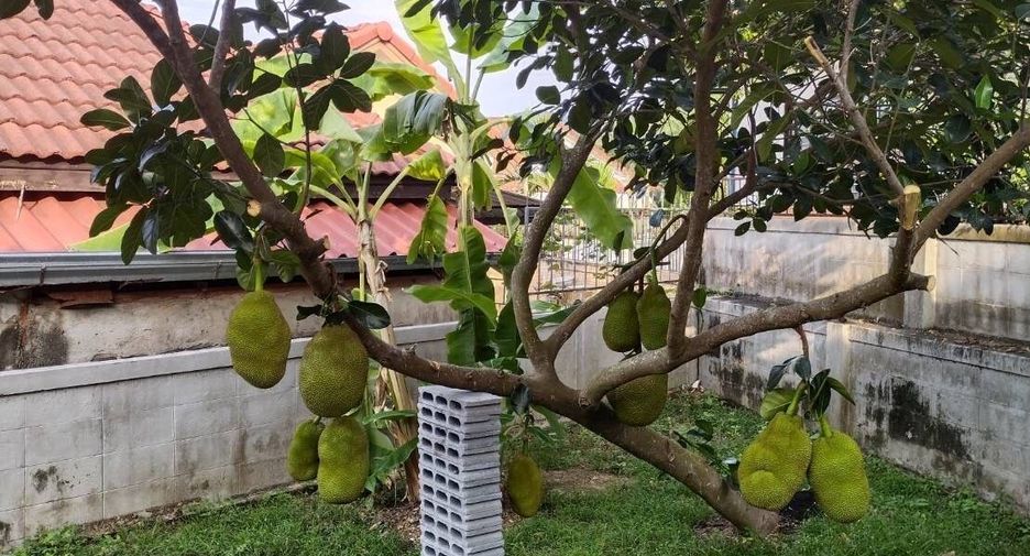 Haus zur Miete mit 3 Zimmer in Sattahip, Pattaya