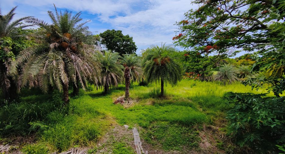 Villa zum Kauf und zur Miete mit 7 Zimmer in Cha Am, Phetchaburi