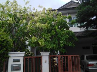 For sale 3 bedrooms villa in Mueang Chiang Mai, Chiang Mai