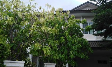 For sale 3 bedrooms villa in Mueang Chiang Mai, Chiang Mai