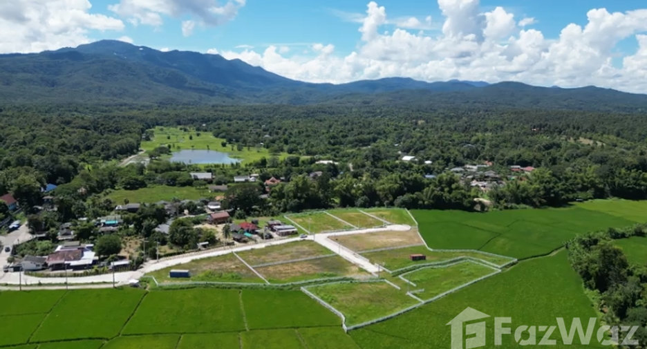 For sale land in Mae Rim, Chiang Mai