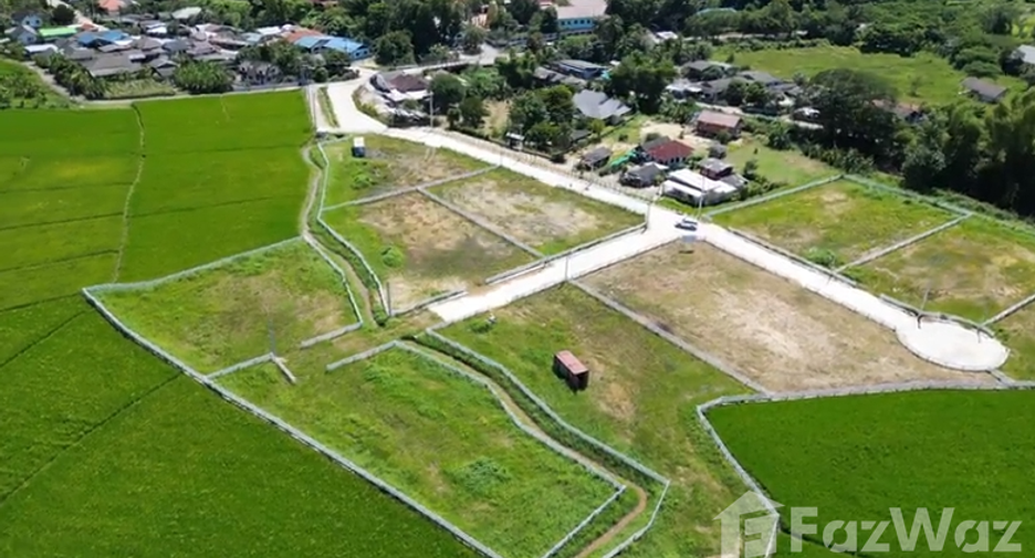 For sale land in Mae Rim, Chiang Mai