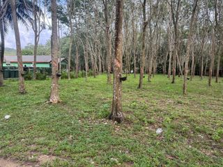 For sale land in Thalang, Phuket