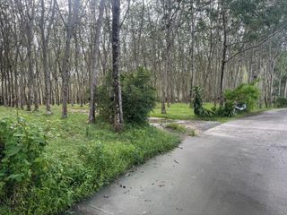 For sale land in Thalang, Phuket
