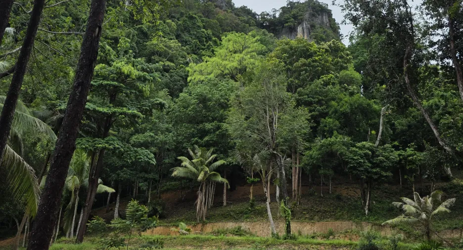 出售 土地 在 Mueang Krabi, Krabi