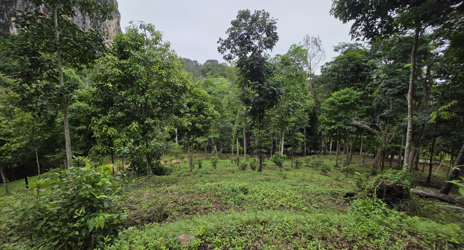 出售 土地 在 Mueang Krabi, Krabi