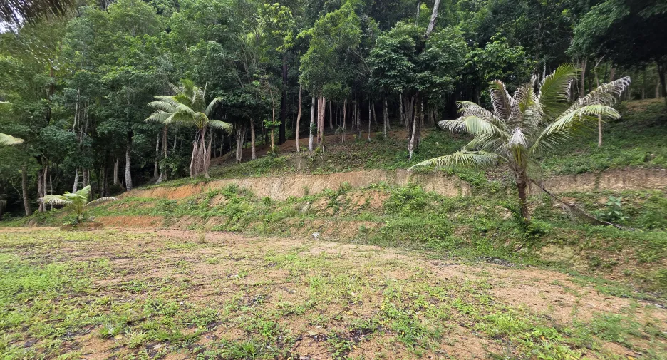 出售 土地 在 Mueang Krabi, Krabi
