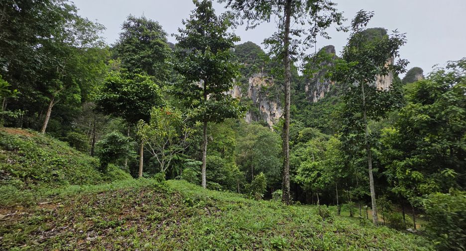 出售 土地 在 Mueang Krabi, Krabi