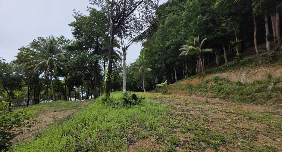 出售 土地 在 Mueang Krabi, Krabi