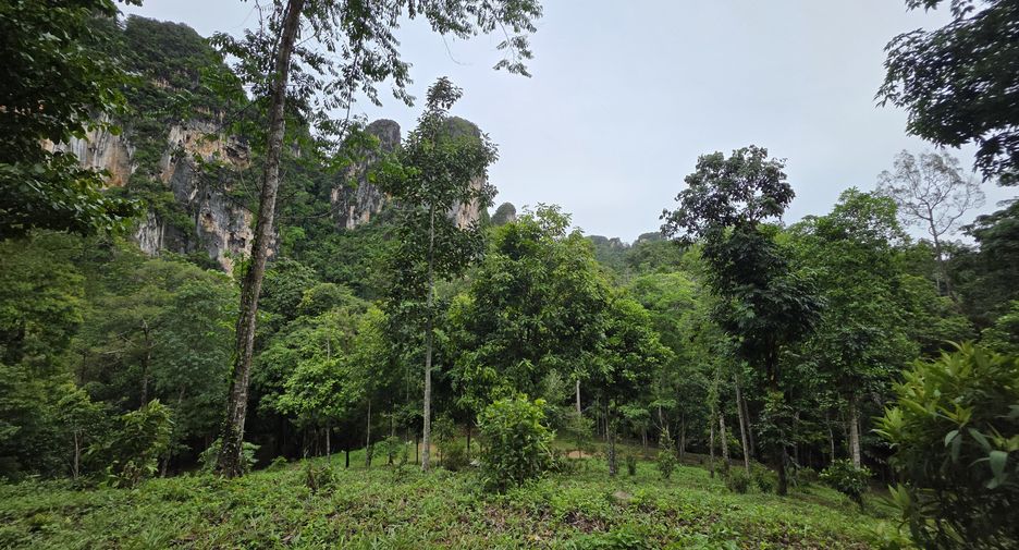 出售 土地 在 Mueang Krabi, Krabi