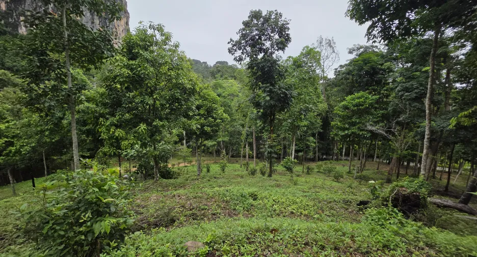 出售 土地 在 Mueang Krabi, Krabi