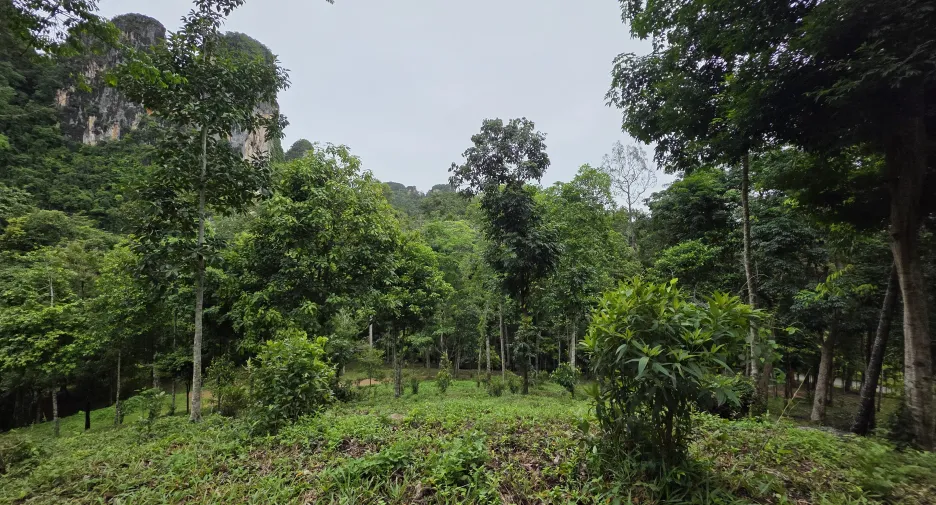 出售 土地 在 Mueang Krabi, Krabi