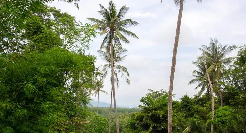 For sale 1 bed villa in Mueang Phuket, Phuket