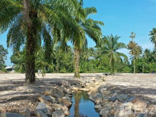 Продажа Участок в Khanom, Nakhon Si Thammarat