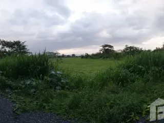 For sale land in San Kamphaeng, Chiang Mai