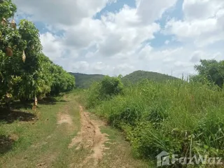 Grundstück zum Kauf in Pran Buri, Prachuap Khiri Khan