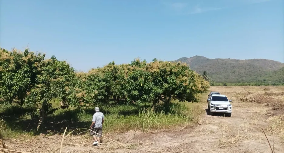 Terreno en venta en Pran Buri, Prachuap Khiri Khan