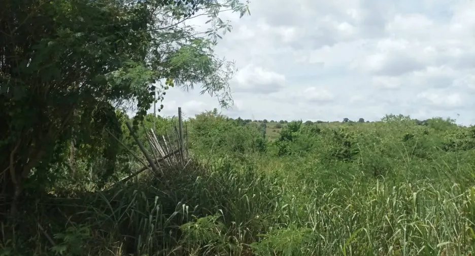 Terreno en venta en Pran Buri, Prachuap Khiri Khan