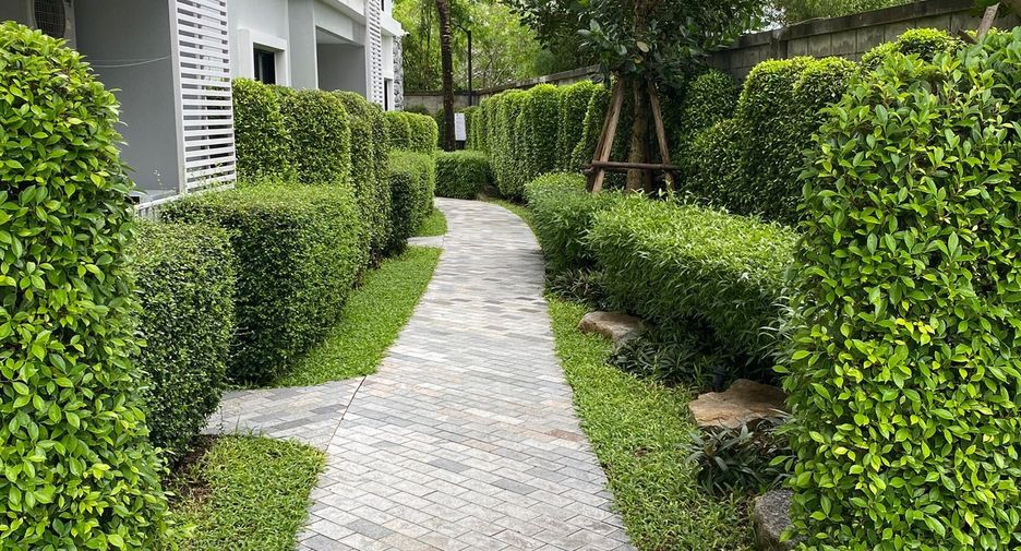For rent 1 bed condo in Mueang Phuket, Phuket