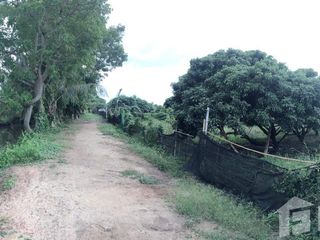 出售 土地 在 Saraphi, Chiang Mai