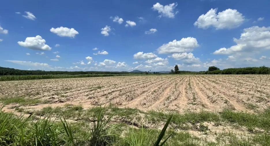 For sale land in Ban Bueng, Chonburi