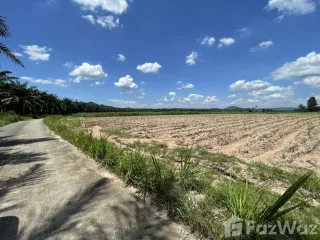 Продажа Участок в Ban Bueng, Чонбури