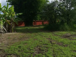For sale land in Mueang Nong Khai, Nong Khai