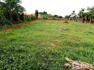 For sale land in San Sai, Chiang Mai