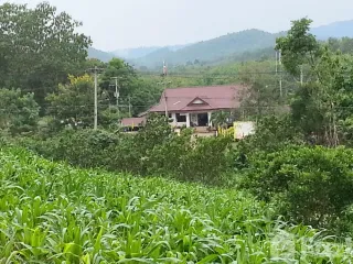 For sale land in Thung Chang, Nan