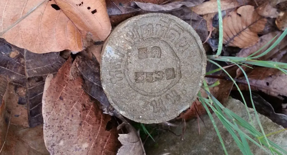 For sale land in Thung Chang, Nan